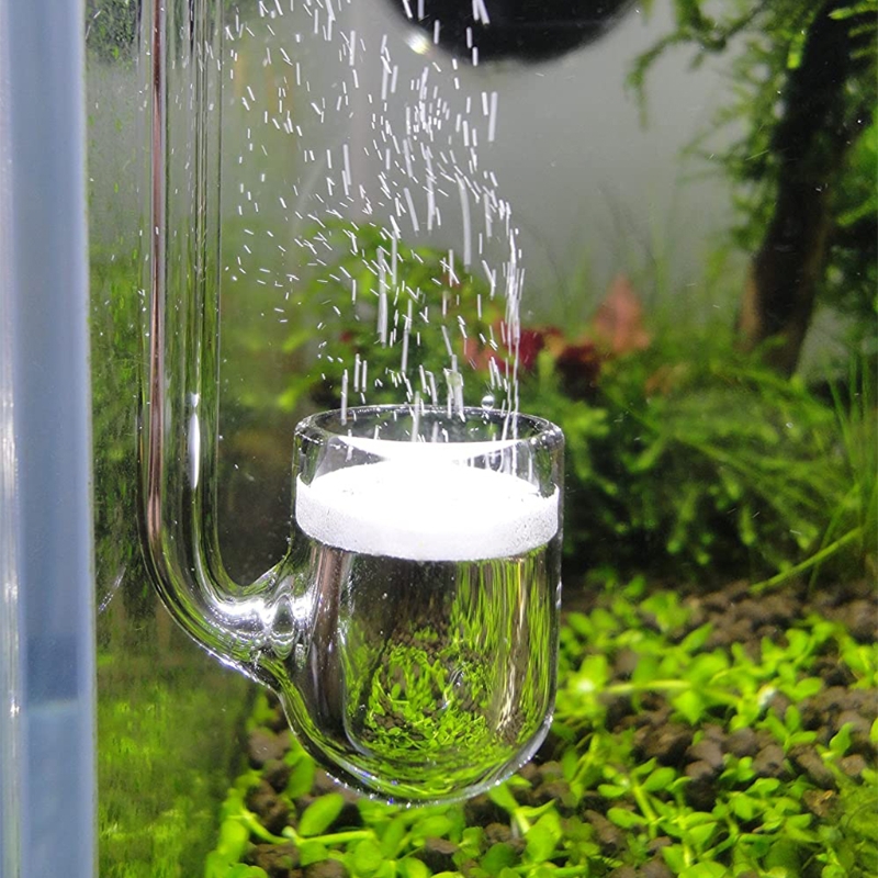 Co2 Diffuser Planted - D0AD Glass CO2 Diffuser for Aquarium,