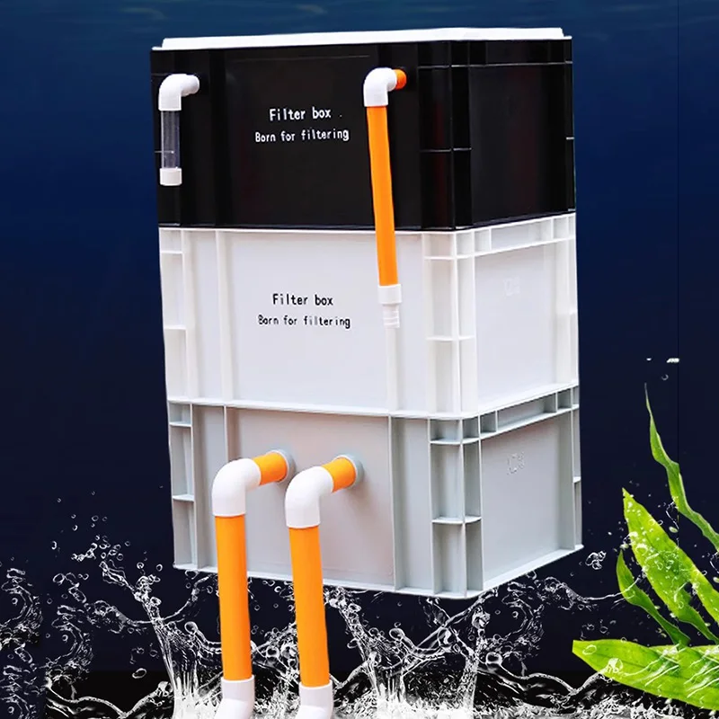 Box Fish In Aquarium - Hang on Filters Aquariums Turnover Box