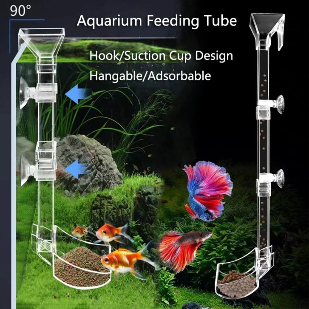 Aquarium Fish Price - New Transparent Aquarium Fish Tank Feeder