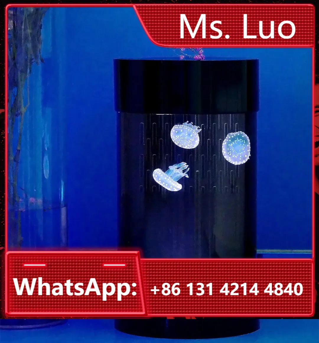 Aquarium Fish Amazon - Best Amazon Sales Jellyfish Tank Home
