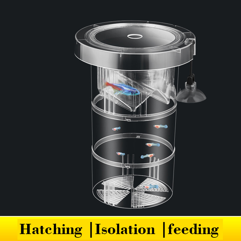 Box Fish In Aquarium - Floating Fish Breeding Isolation Box for