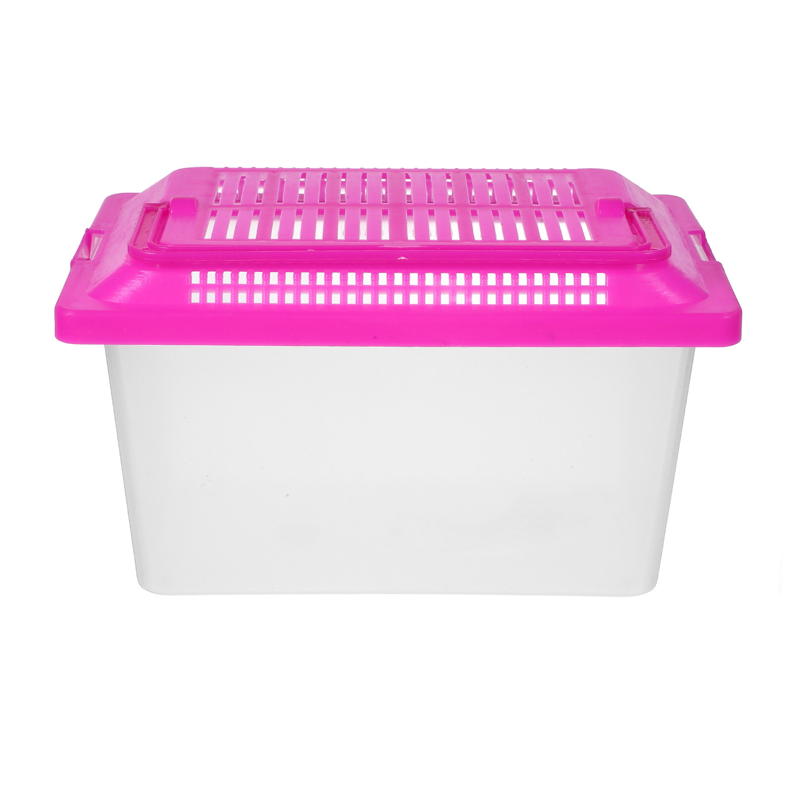 Box Fish In Aquarium - Portable Fish Transparent Turtle Holder Compact