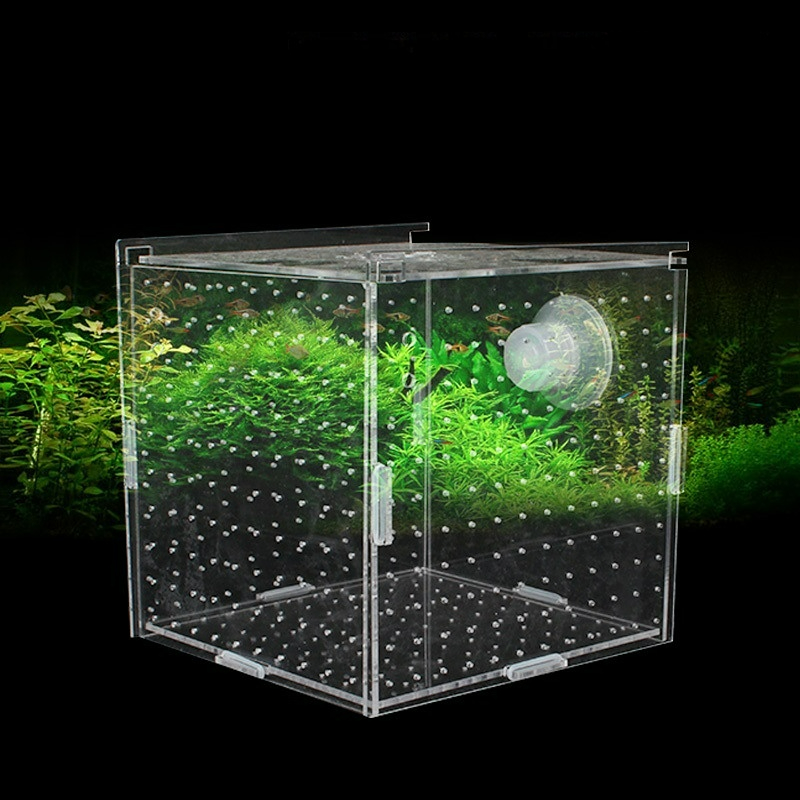 Aquarium Fish Net Small - Acrylic Isolation Box Fish Tank Transparent