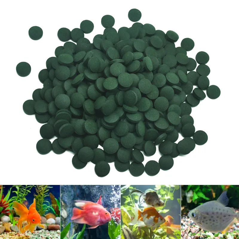 100-3000pc High Purity Spiruli - Aquarium Fish Price review and price