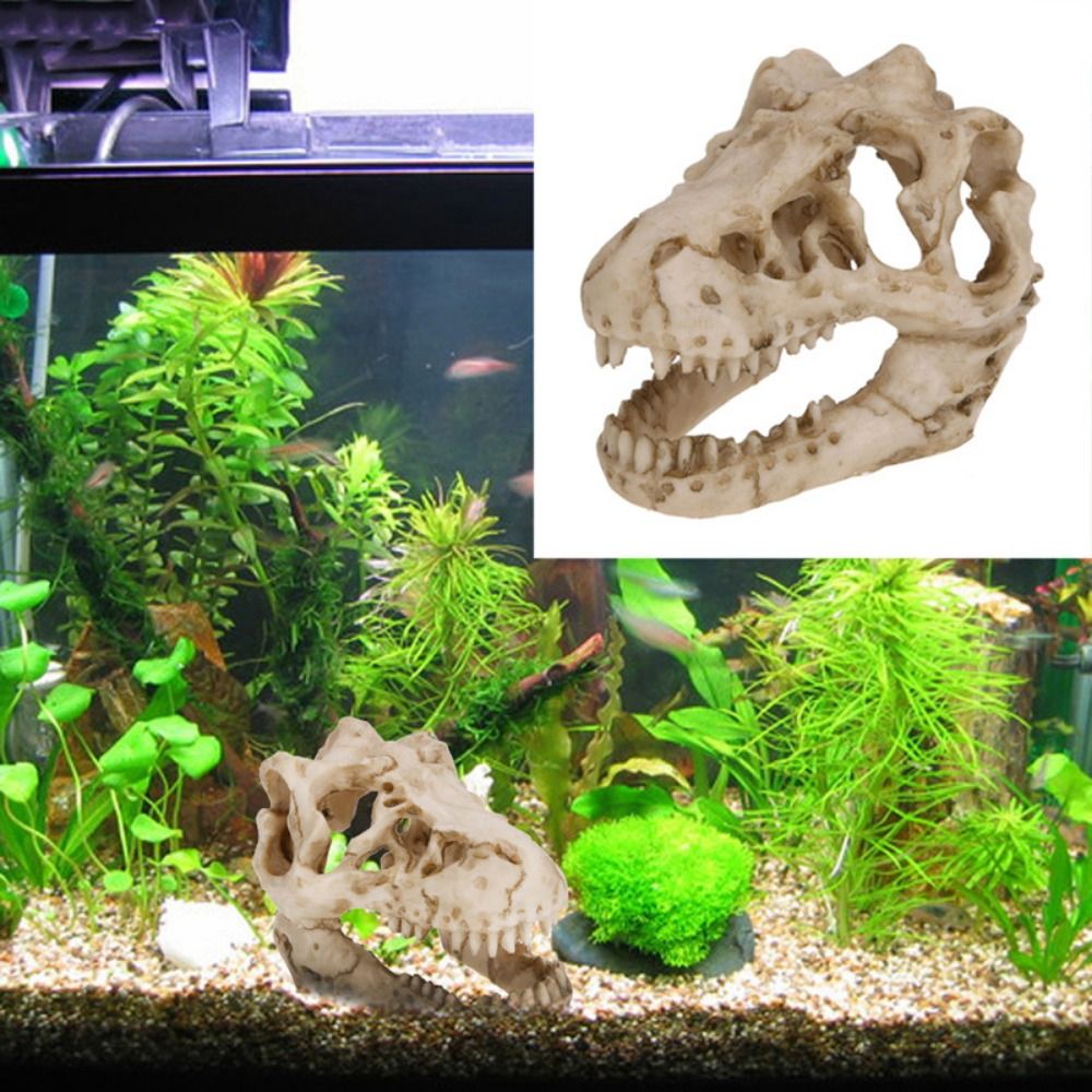 Creative Simulation Dinosaur S - Aquarium Fish Escape review and price