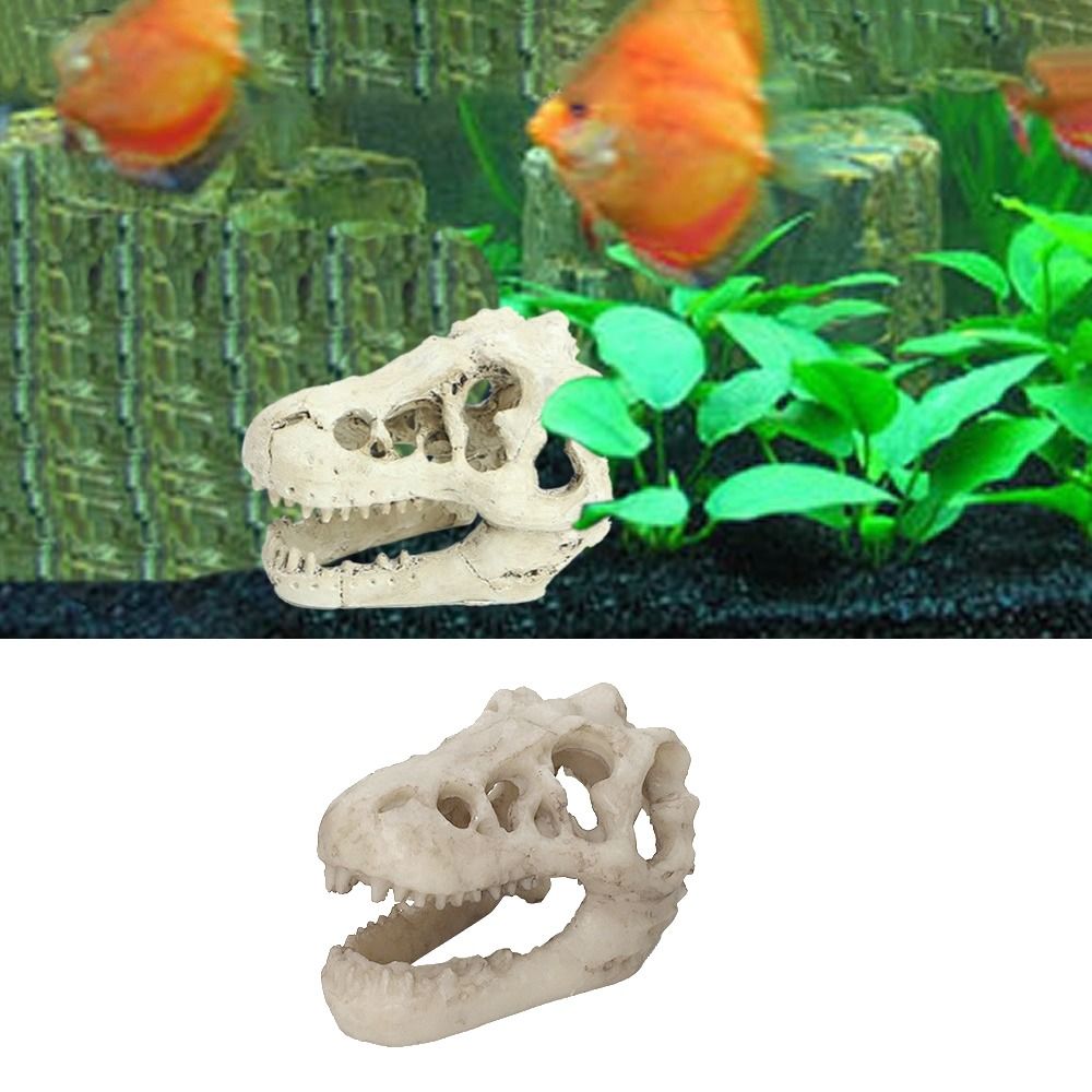 Creative Simulation Dinosaur S - Aquarium Fish Escape review and price