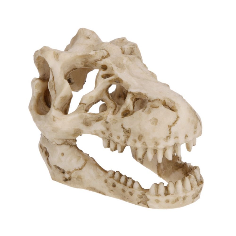 Creative Simulation Dinosaur S - Aquarium Fish Escape review and price