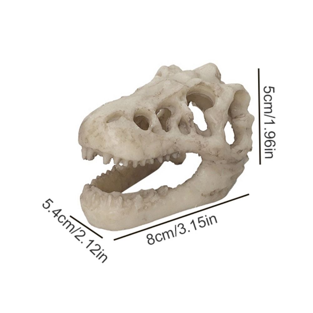 Creative Simulation Dinosaur S - Aquarium Fish Escape review and price