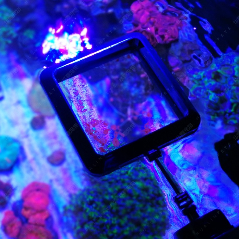 VASTOCEAN Magnetic Feeding Rin - Aquarium Fish Food review and price