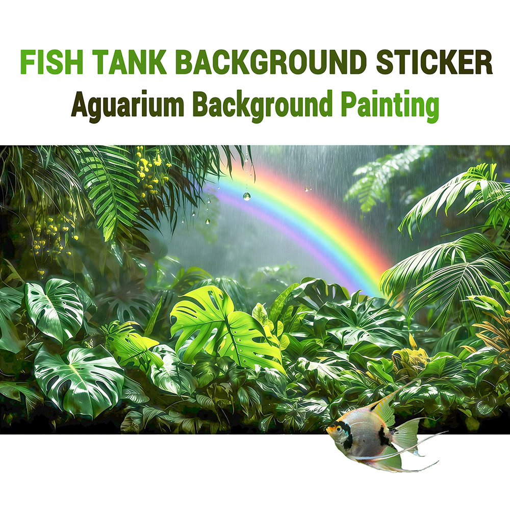 Rainforest Rainbow，fish tank b - Aquarium Fish Rainbow review and price