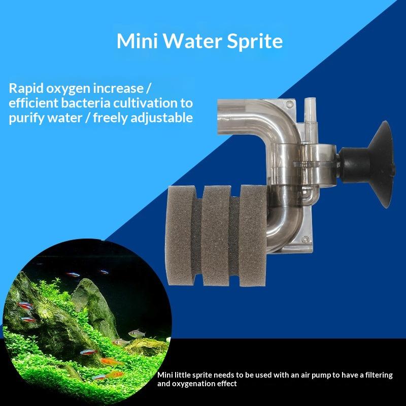 .Hot Sale-Mini Aquarium Sponge - Aquarium Fish Price review and price