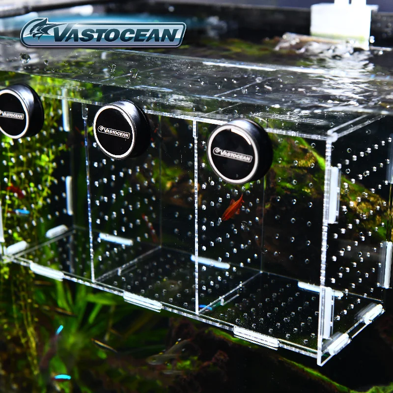 VASTOCEAN Fish Tank Magnetic C - Box Fish In Aquarium review and price