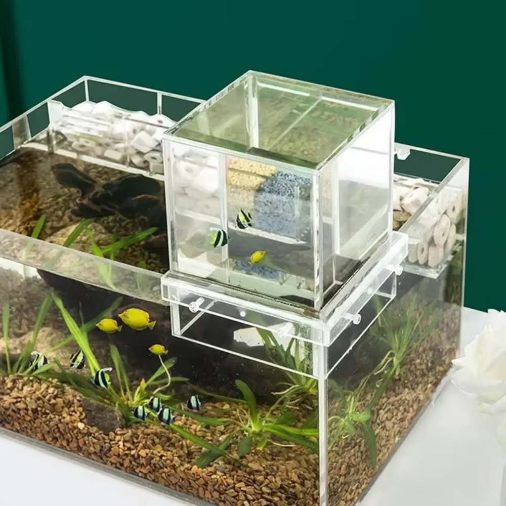 Landscaping Negative Pressure  - Aquarium Fish Medicine review and price