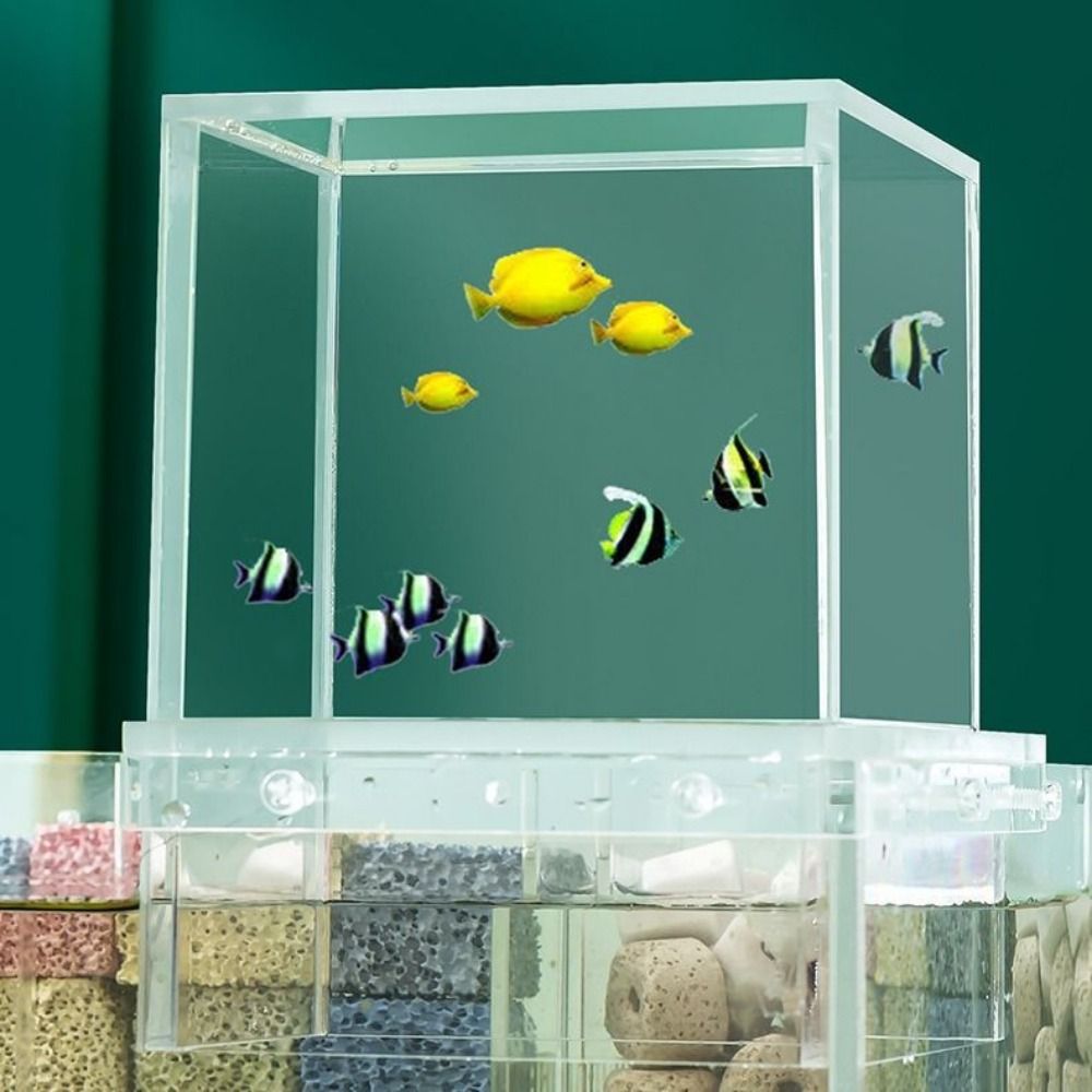 Landscaping Negative Pressure  - Aquarium Fish Medicine review and price