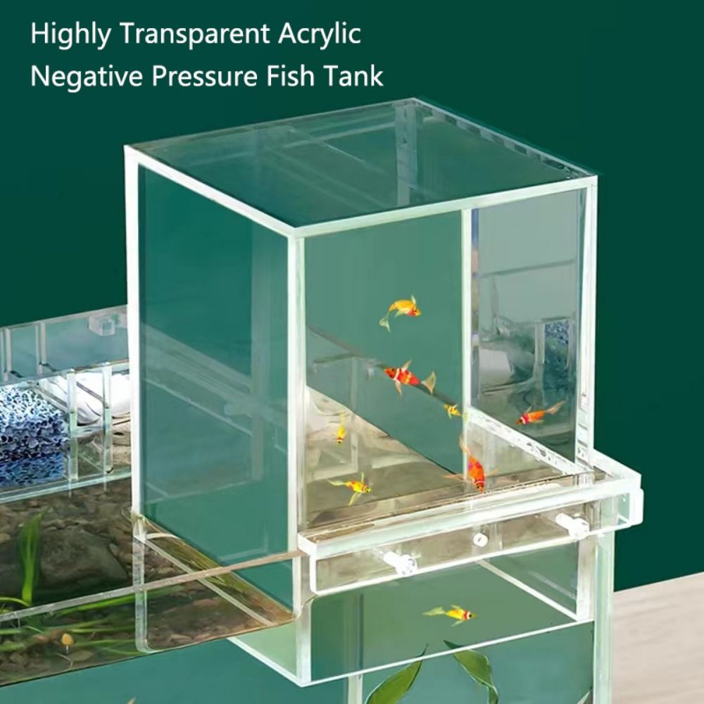 Landscaping Negative Pressure  - Aquarium Fish Medicine review and price