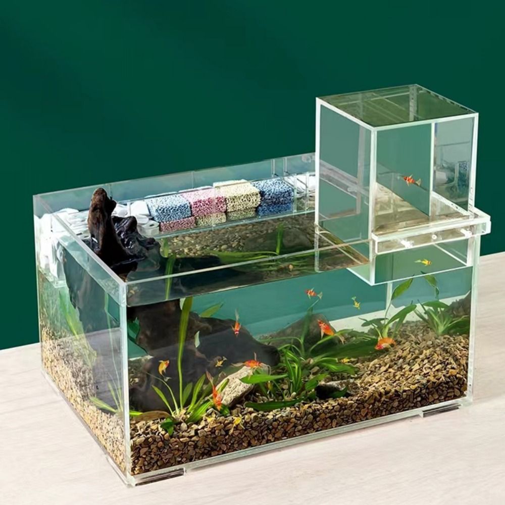 Landscaping Negative Pressure  - Aquarium Fish Medicine review and price