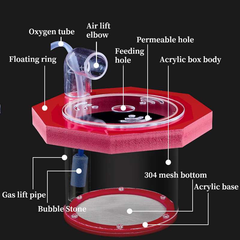 Suspended Fish Tank Breeding I - Box Fish In Aquarium review and price