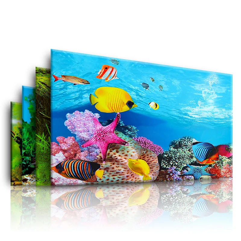 Background for Aquarium 3d  St - Aquarium Fish Only review and price