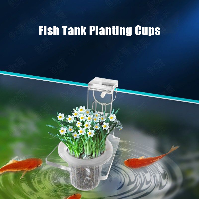 Fish Tank Planting Cups Hydrop - Aquarium Fish Pot review and price