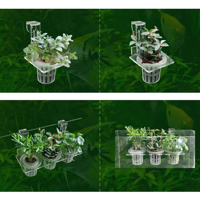 Fish Tank Planting Cups Hydrop - Aquarium Fish Pot review and price