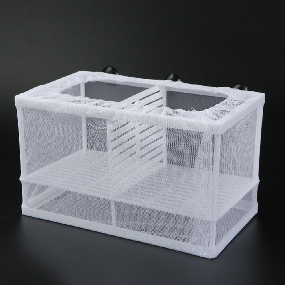 Aquarium Fish Breeder Box with - Aquarium Fish Medicine review and price