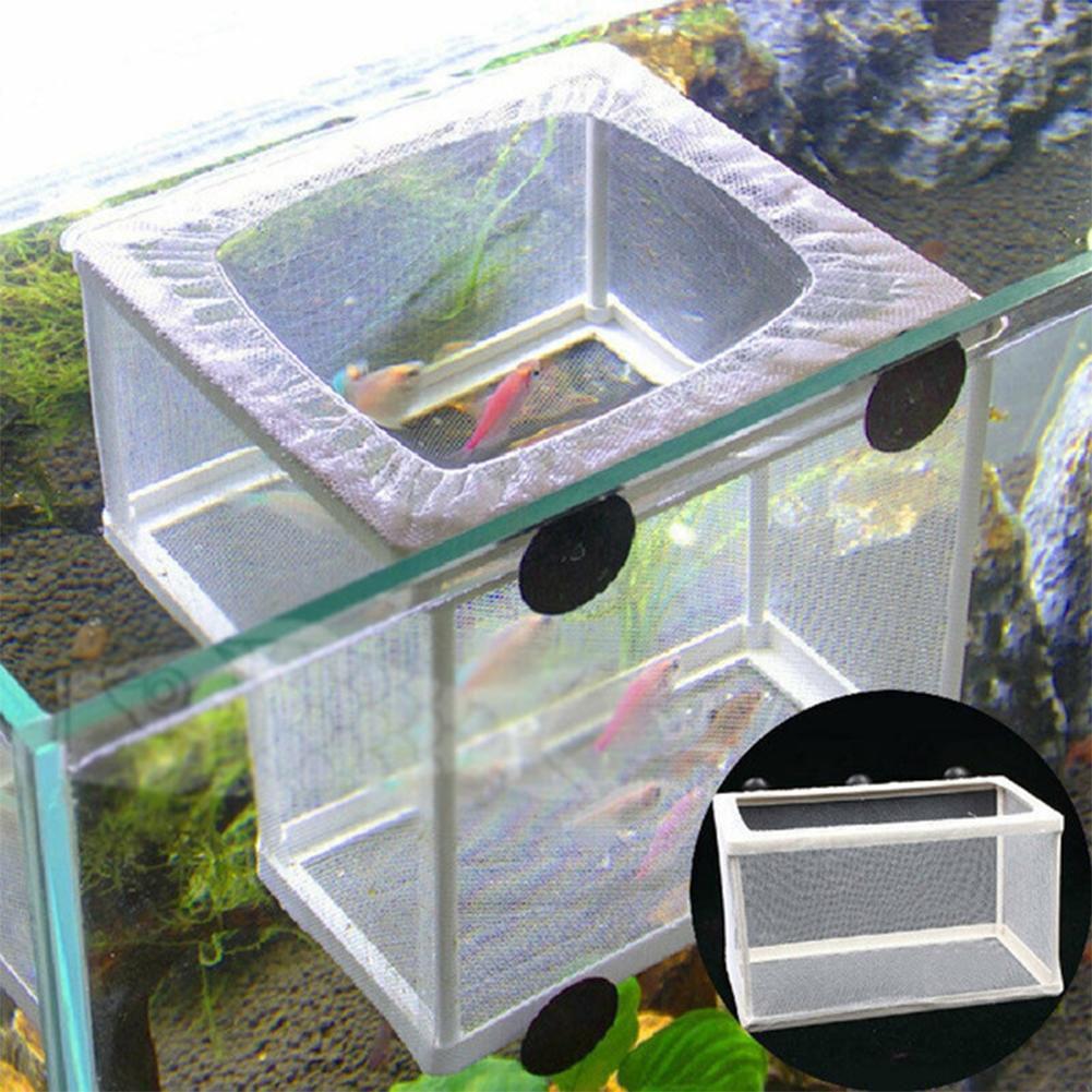 Aquarium Fish Breeder Box with - Aquarium Fish Medicine review and price