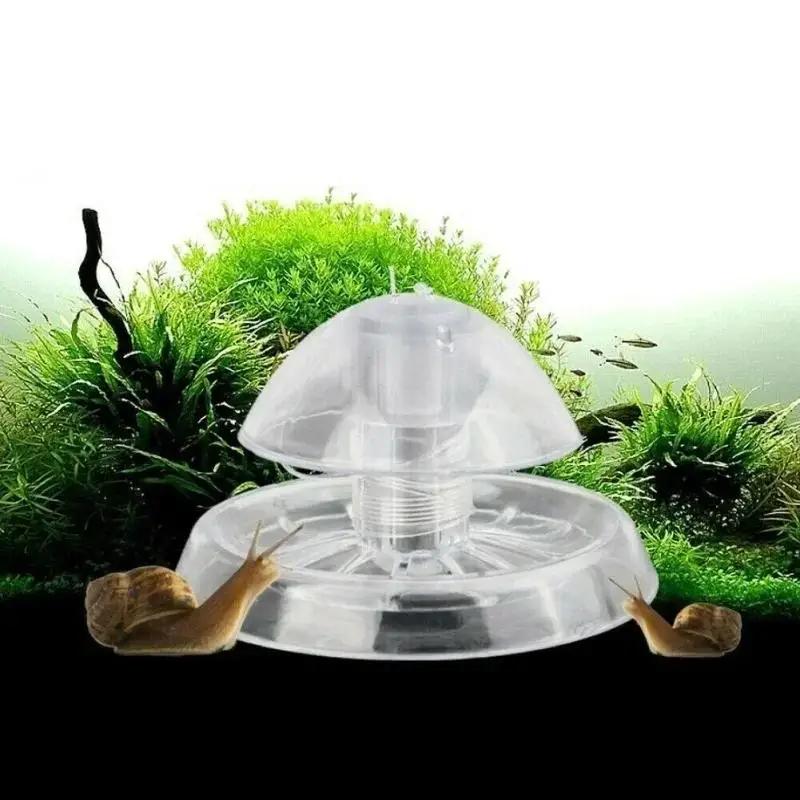 2026 New 6/8CM Clear Plastic S - Box Fish In Aquarium review and price