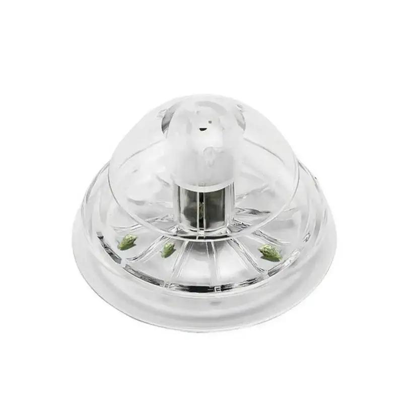 2026 New 6/8CM Clear Plastic S - Box Fish In Aquarium review and price