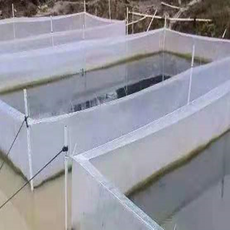 White Anti Escape net Cage eel - Aquarium Fish Escape review and price