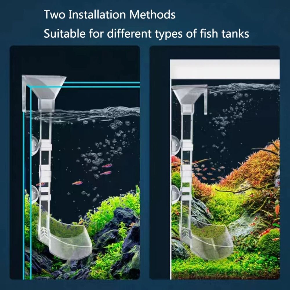 New Transparent Aquarium Fish  - Aquarium Fish Price review and price