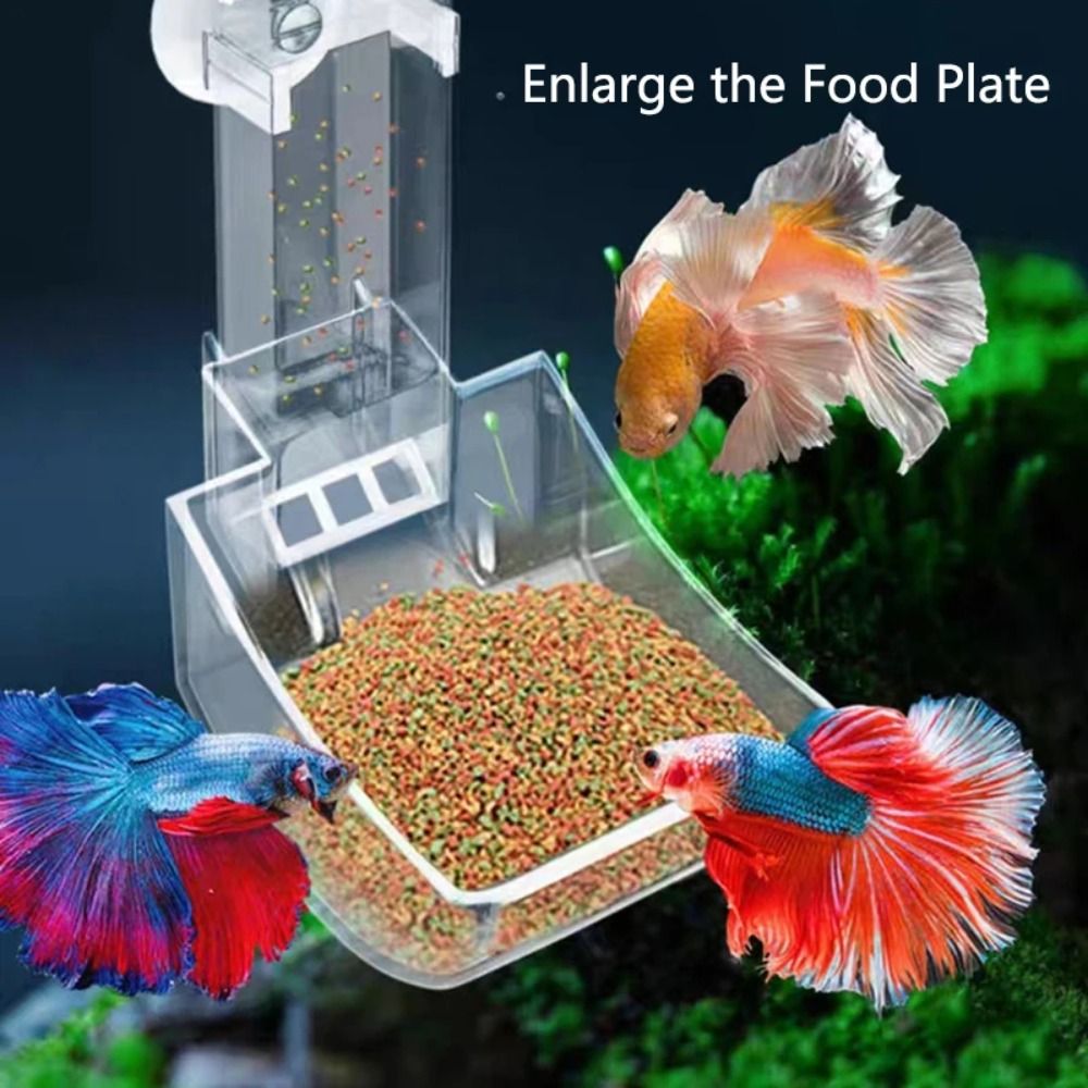 New Transparent Aquarium Fish  - Aquarium Fish Price review and price
