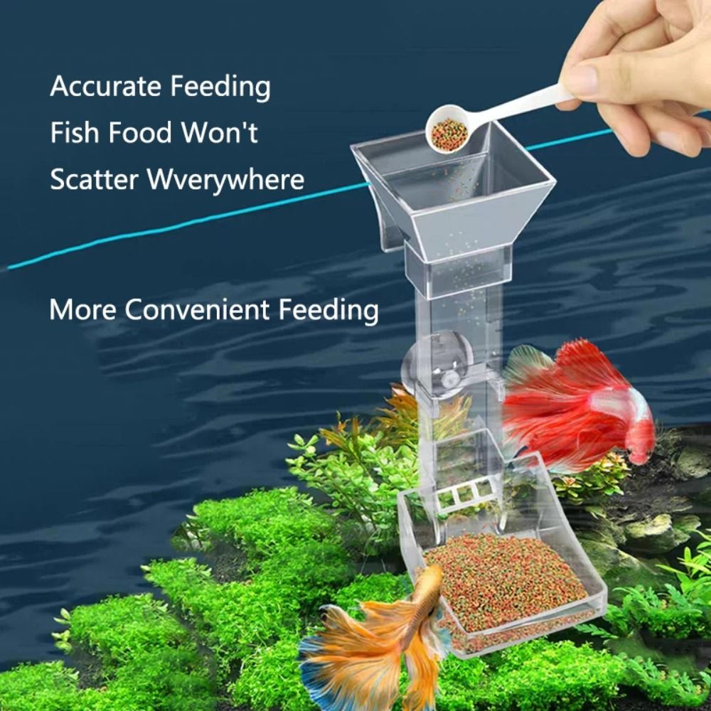New Transparent Aquarium Fish  - Aquarium Fish Price review and price