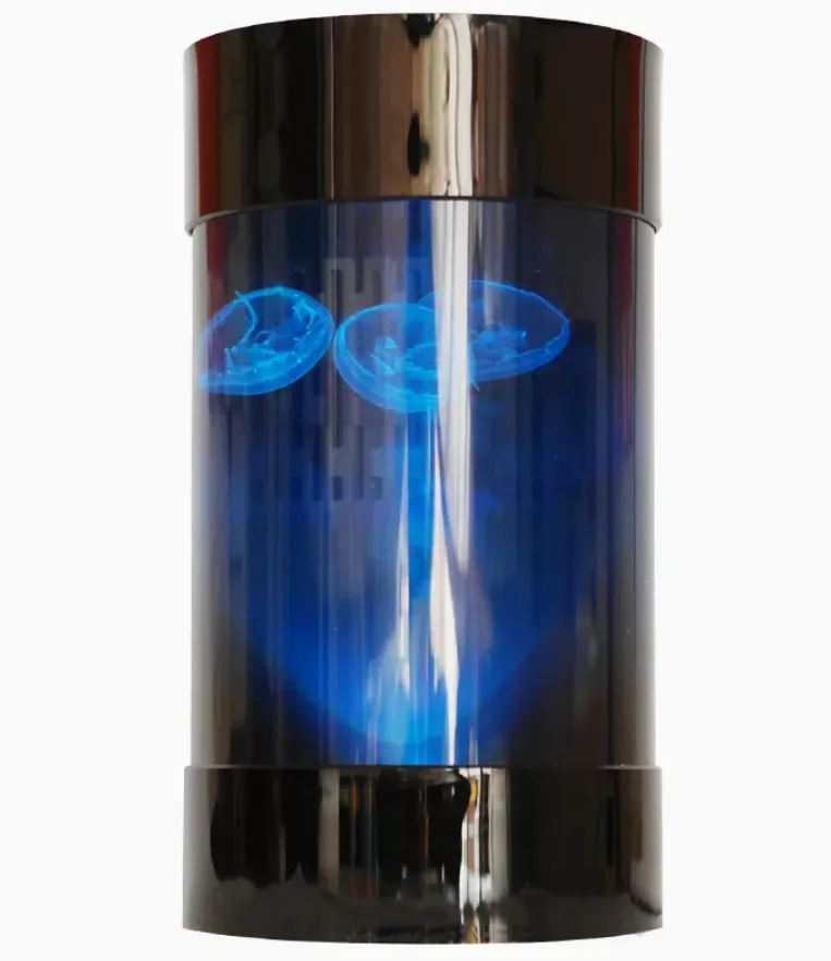 Best Amazon Sales Jellyfish Ta - Aquarium Fish Amazon review and price
