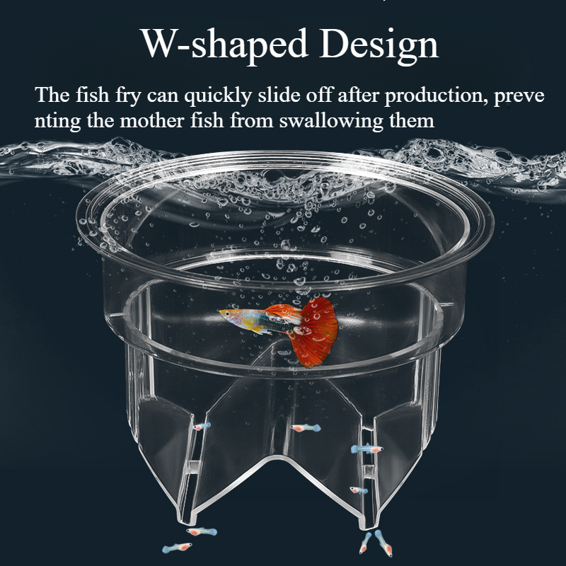 Floating Fish Breeding Isolati - Box Fish In Aquarium review and price