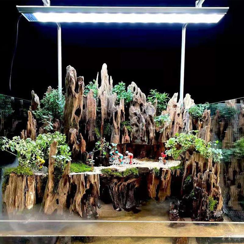 Shrimp Wood Aquarium Decor, Dr - Aquarium Fish Only review and price