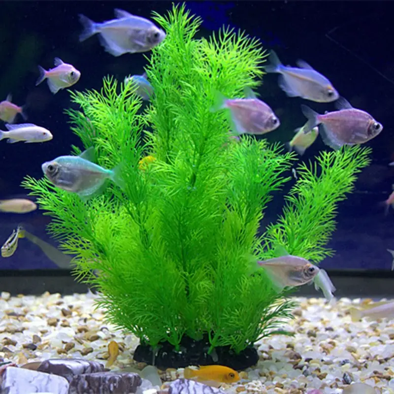 Artificial Aquarium Decor Plan - Aquarium Fish Only review and price