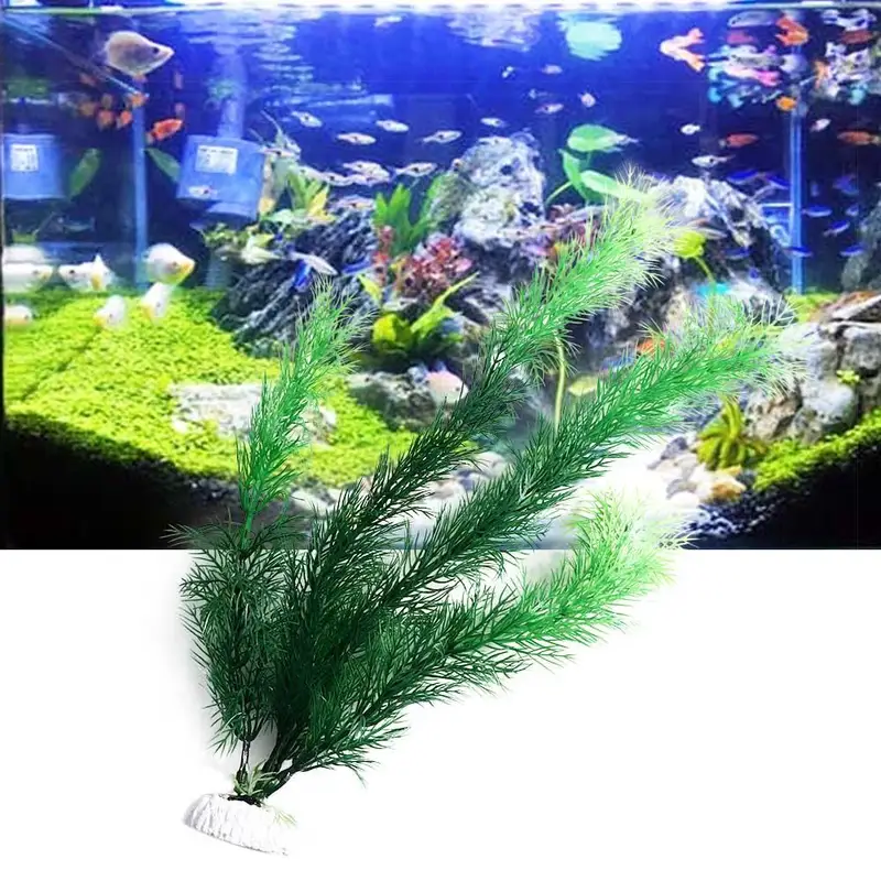 Artificial Aquarium Decor Plan - Aquarium Fish Only review and price
