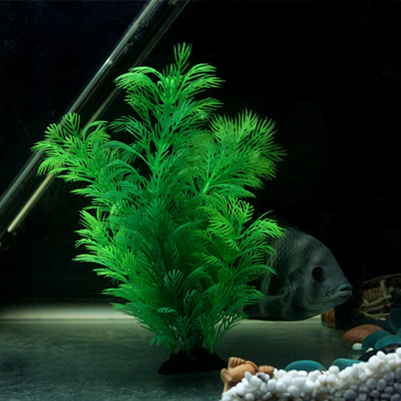 Artificial Aquarium Decor Plan - Aquarium Fish Only review and price