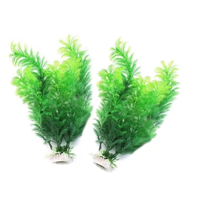 Artificial Aquarium Decor Plan - Aquarium Fish Only review and price