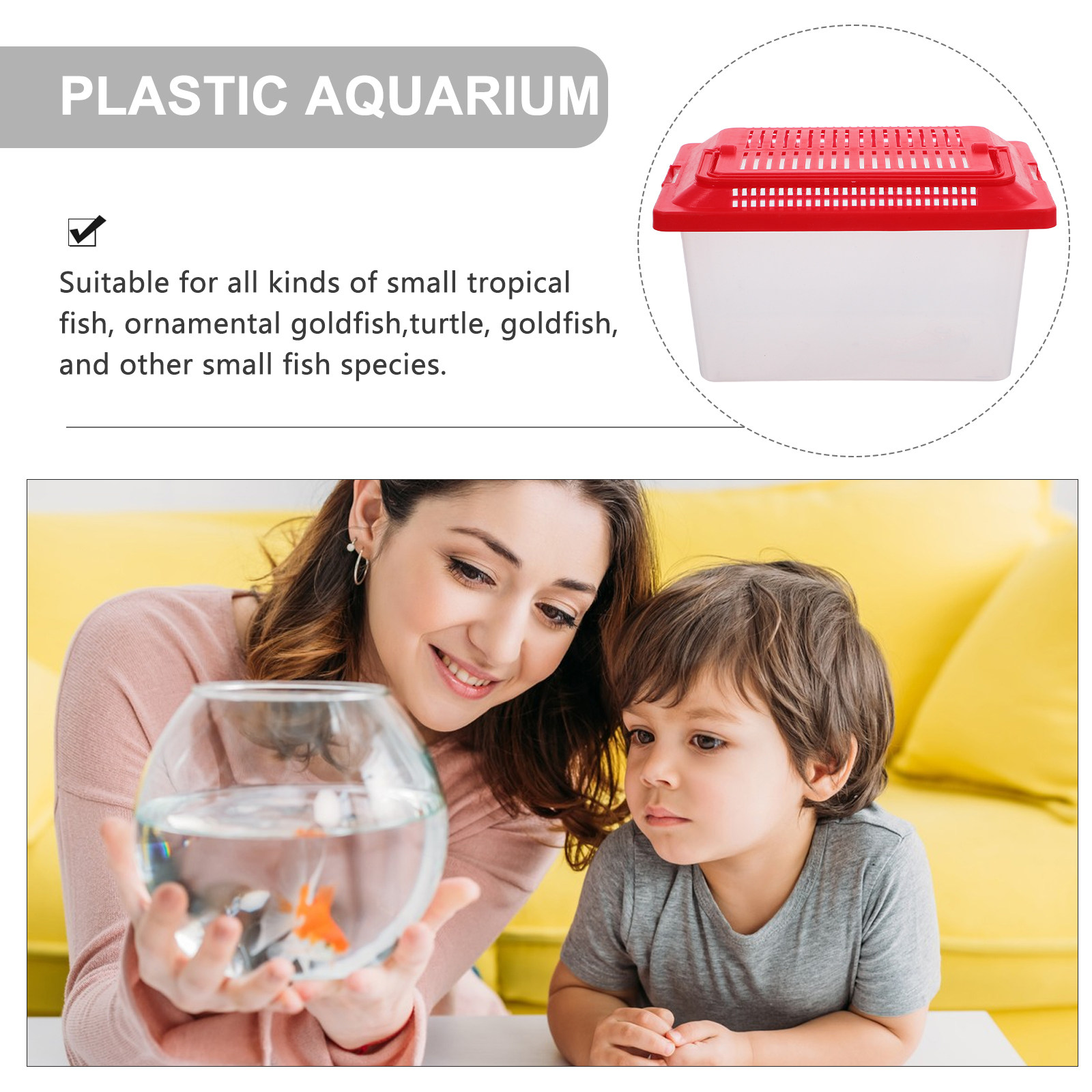 Portable Fish Transparent Turt - Box Fish In Aquarium review and price