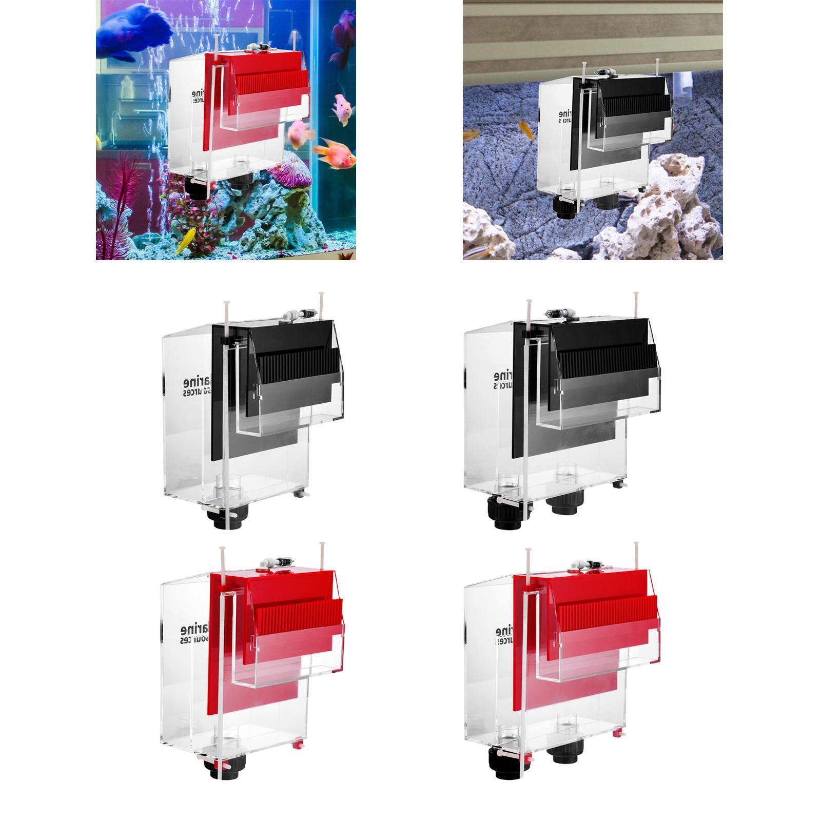 Overflow Box for Aquariums Fis - Box Fish In Aquarium review and price