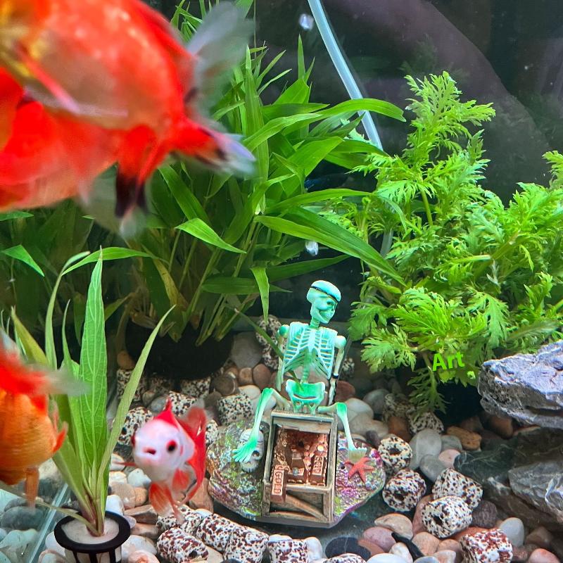 Fish Tank Aerobic Landscape Bu - Aquarium Fish Only review and price