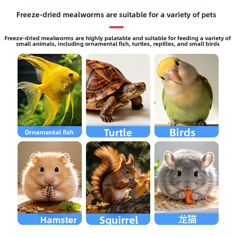 VOONLINE Freeze Dried Mealworm - Aquarium Fish Food review and price