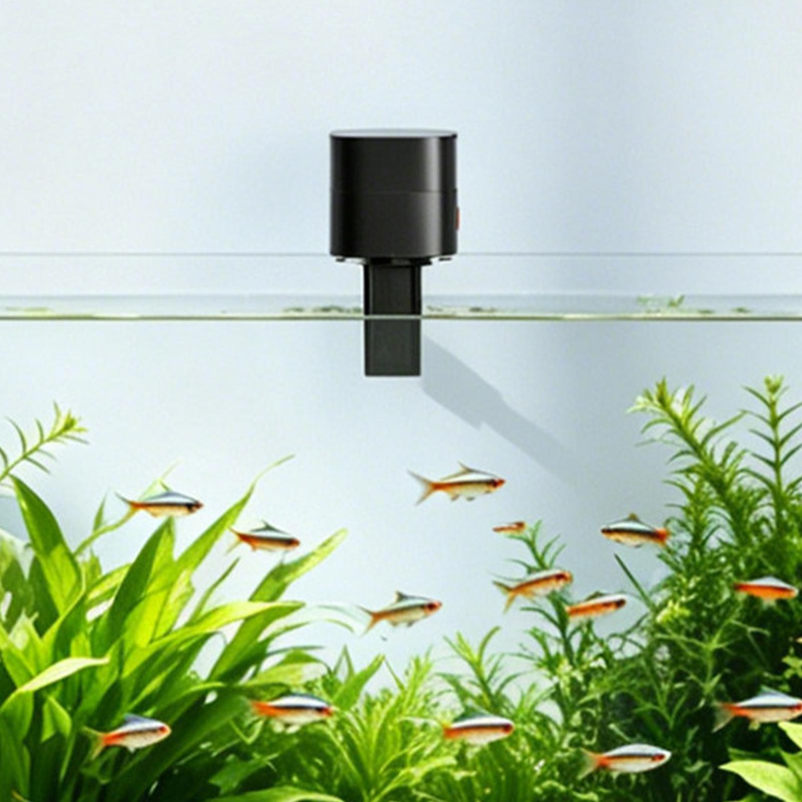 Automatic Fish Feeders Automat - Aquarium Fish Auto Feeder review and price