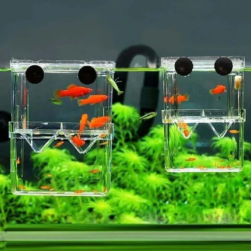 Transparent Fish Aquarium High - Aquarium Fish Medicine review and price