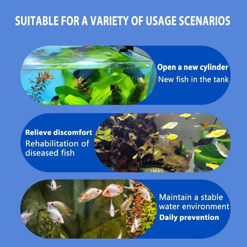 SIKEZHAN Fish Disease Treatmen - Aquarium Fish Medicine review and price