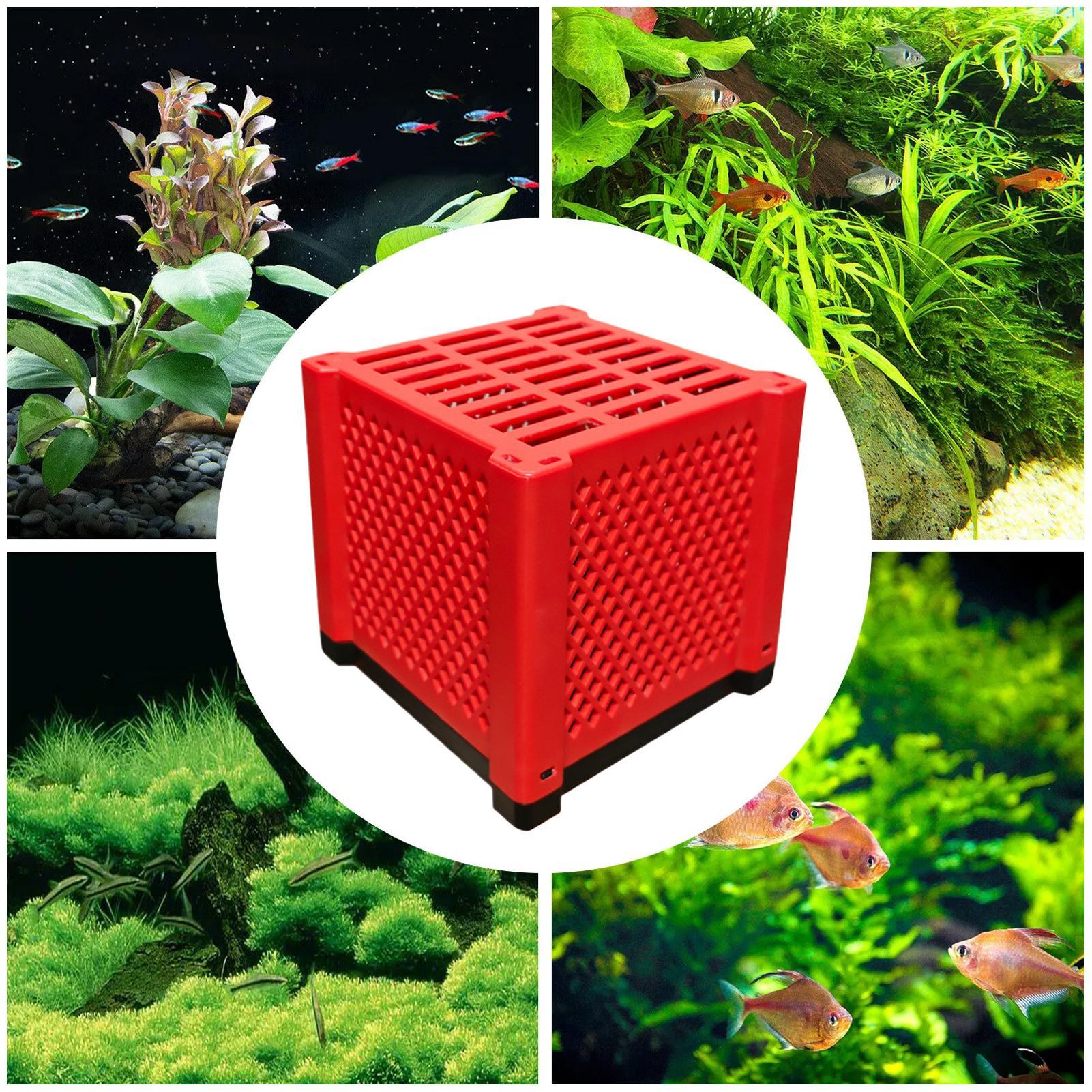 PVC Storage Box Fish Tank Filt - Box Fish In Aquarium review and price