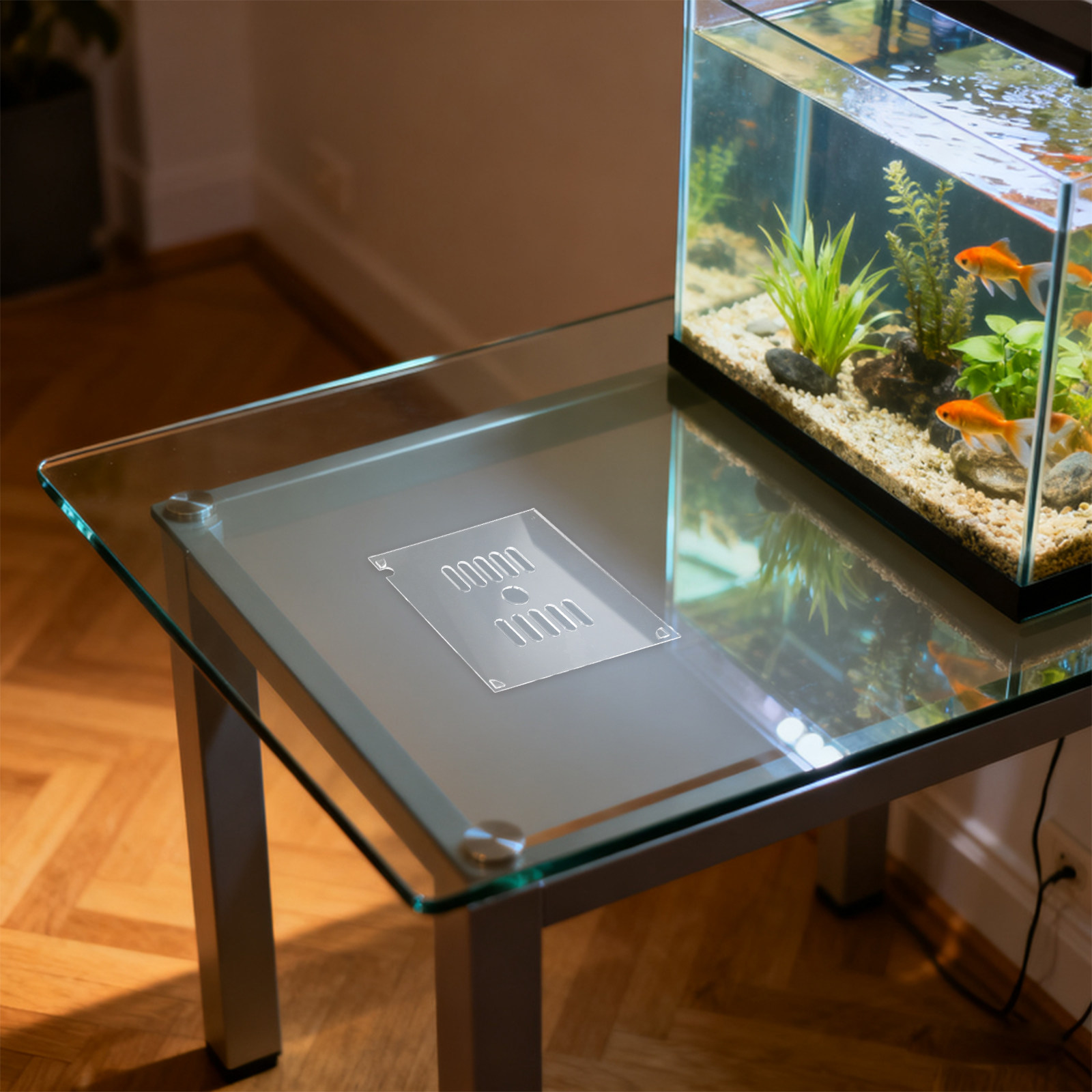 2Pcs Circular Acrylic Aquarium - Aquarium Fish Escape review and price