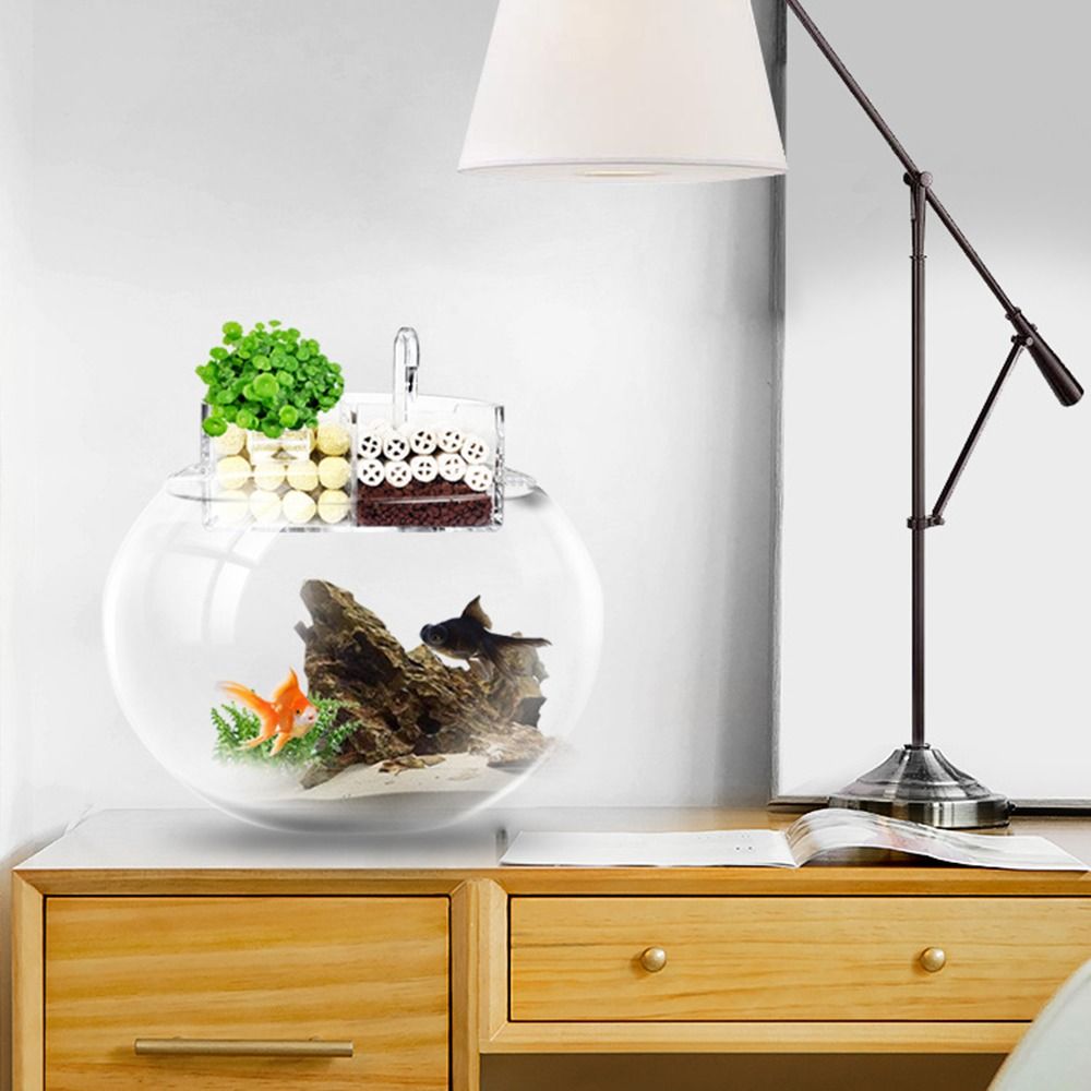 3-in-1 External Filter Box Han - Box Fish In Aquarium review and price