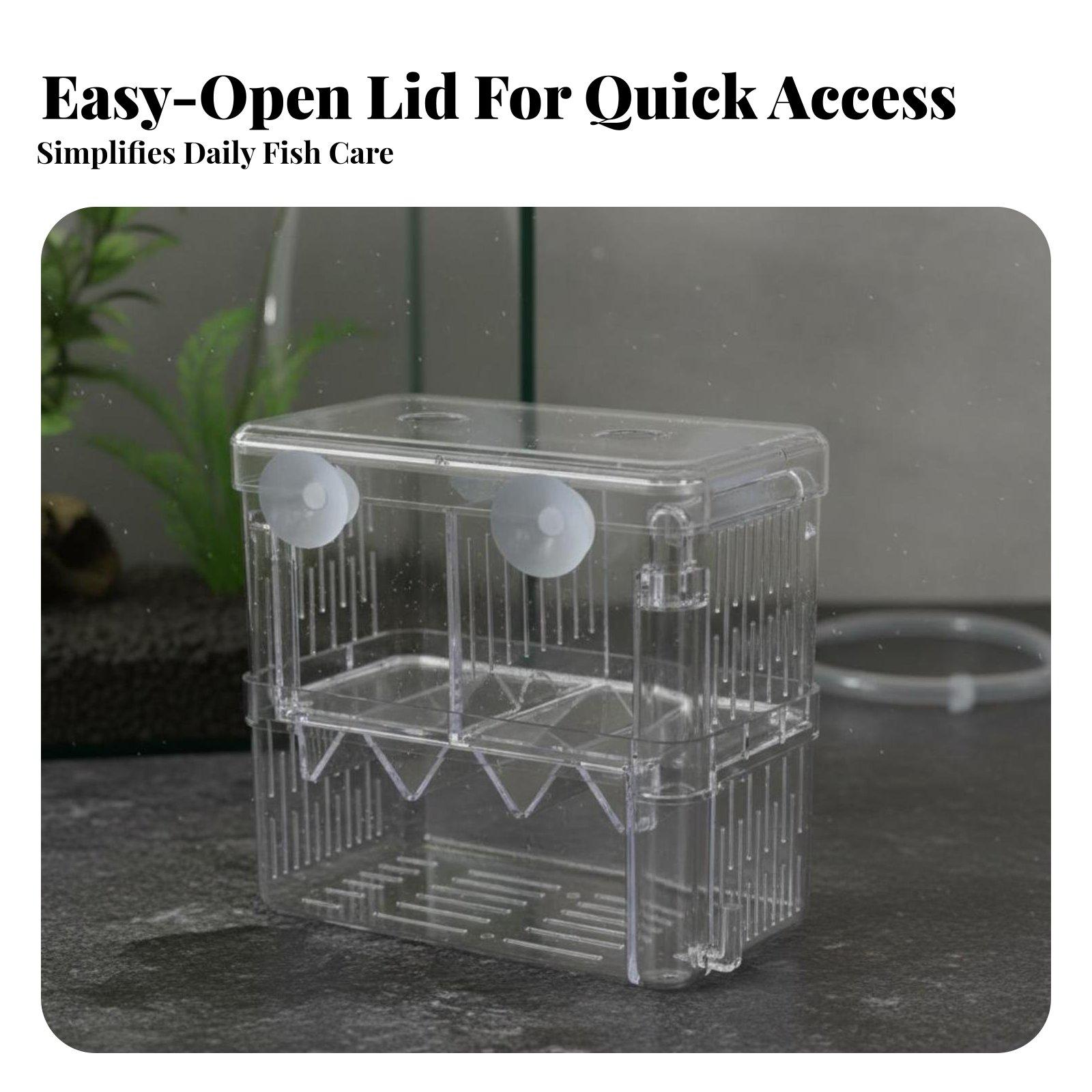Double Layer Aquarium Breeding - Box Fish In Aquarium review and price